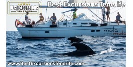 Mola Mola Private Charter
